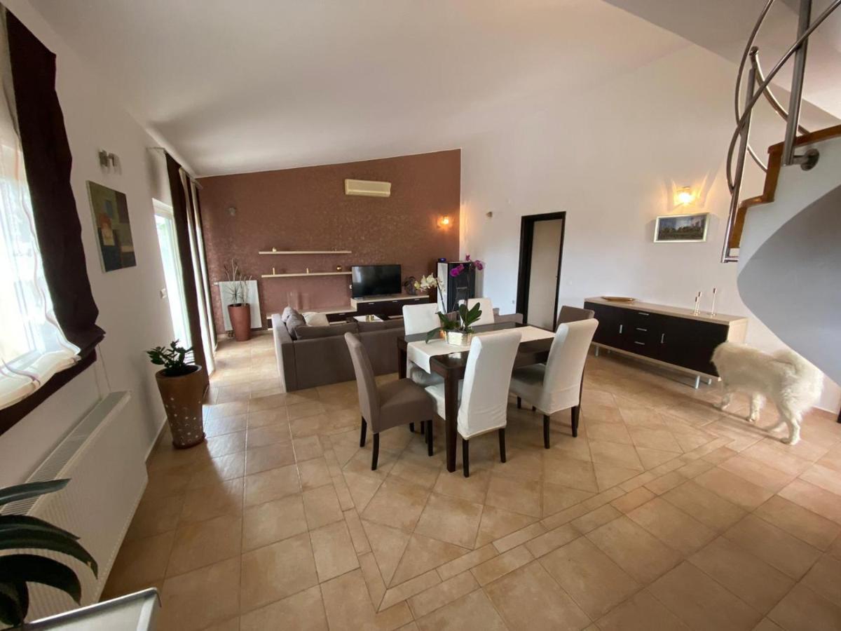 Casa Duje Βίλα Ζαντάρ Εξωτερικό φωτογραφία